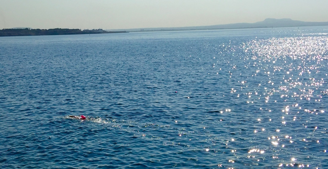 Openwater swiming mallorca
